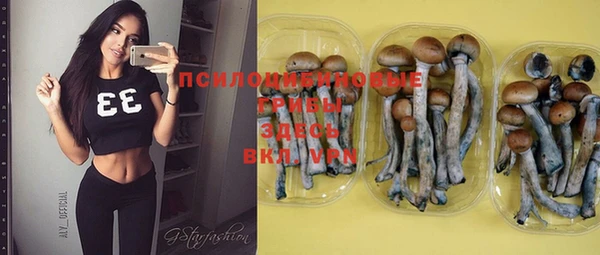 гашишное масло Михайловка