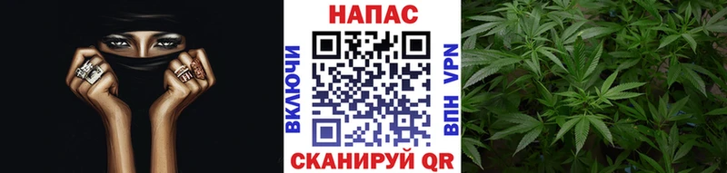 Конопля ГИДРОПОН  Купить  Мантурово 